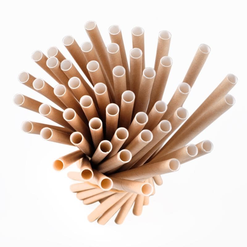 Paper Straws 50pk 20cm x 6mm Eco Friendly - Party Owls