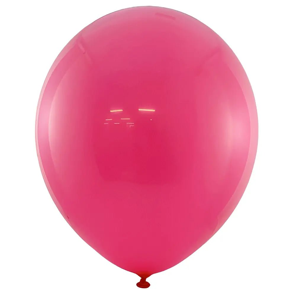 Standard Fuchsia Hot Pink Latex Balloons 30cm (12") 25pk - Party Owls