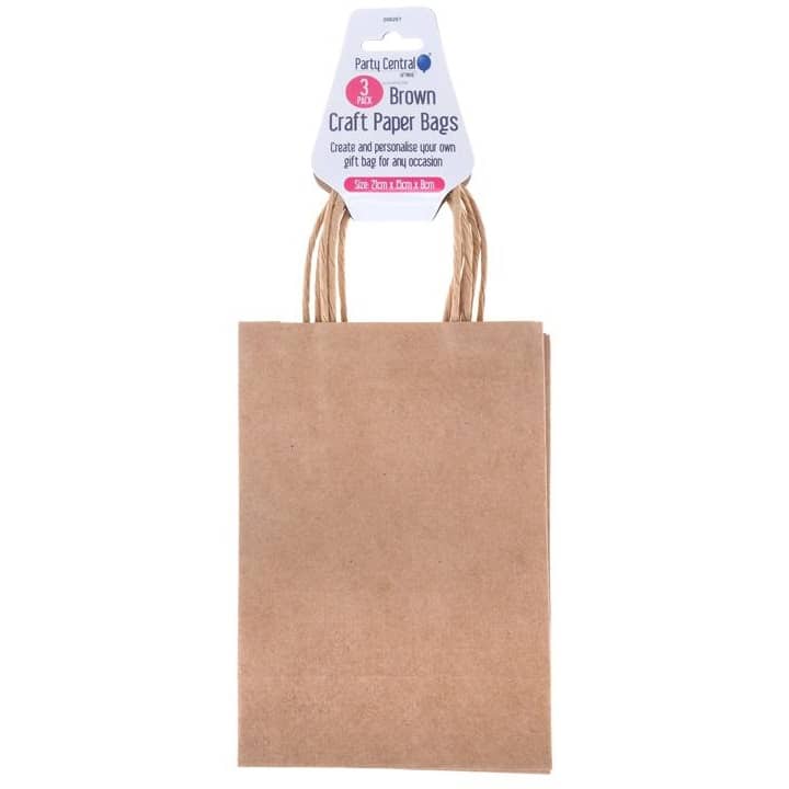 Brown Kraft Paper Party Bags 3pk 21cm x 15cm x 8cm - Party Owls