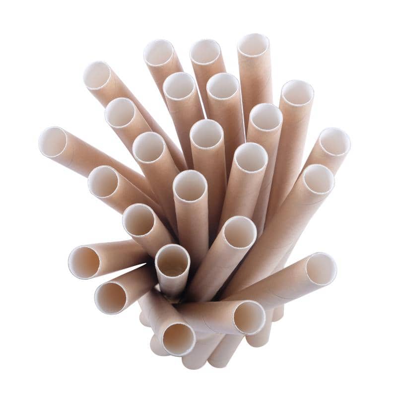 Jumbo Paper Straws 25pk 22cm x 1.2cm Eco Friendly - Party Owls